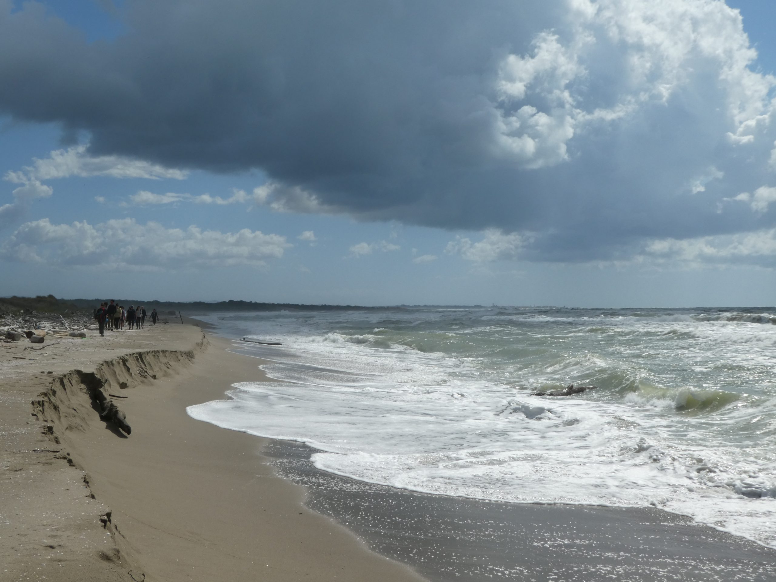 Escursione Nella Tenuta Di San Rossore Fino Al Mare Escursionismo It