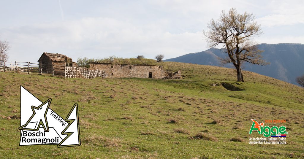 UN GIORNO SULLALTIPIANO CORNIOLO SAN PAOLO IN ALPE Escursionismo It