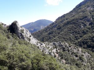 Le acque e i colori dell’autunno del Rio Vitoschio