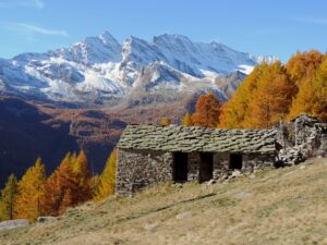 Autunno in Paradiso