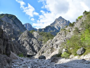 Sentiero di San Daniele e Susaibes